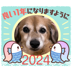 dodochan_20231223224014