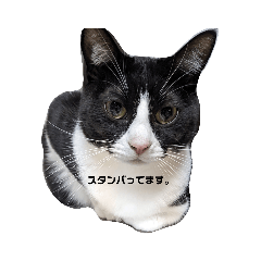 suzu_20231224014227
