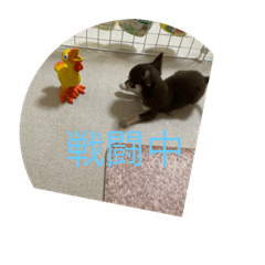 nao_20231224020523