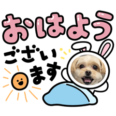 sakura_20231224094432