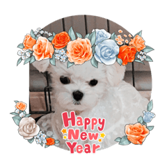 yuka_20231224134613