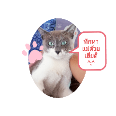 khingteeti_20231224132452