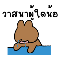 Brown Bear Thai 3