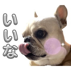 Omochi_20231224030318
