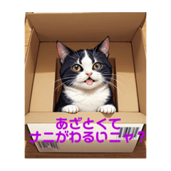 箱入り猫１ CAT IN THE BOX1