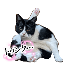 suzu_20231224154918