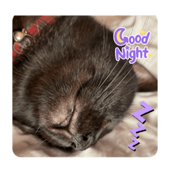 Michiko_20231224143822