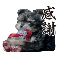 Omochi_20231224150706