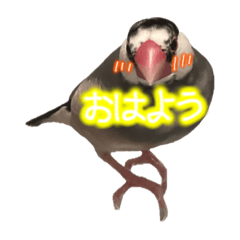 yamazaki_20231224163725