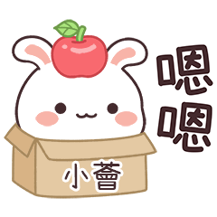 JOJO_Bunny1_01054_SIAO HUEI