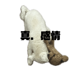 口臭菊與他的好朋友