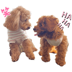 SUZU_20231224230222
