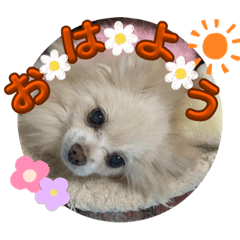 Sakurako_20231224182655