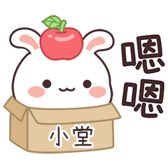 JOJO_Bunny1_01062_SIAO TANG