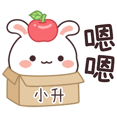 JOJO_Bunny1_01070_SIAO SHENG