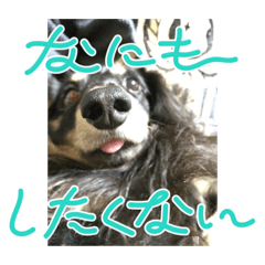 Kaede_20231225074118