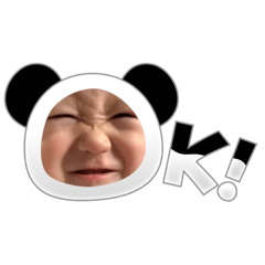 sakura_20231225095240