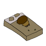 Womi_20231224232647