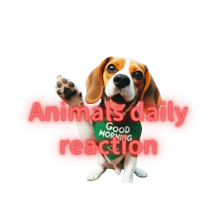 Animals' Daily Reaction