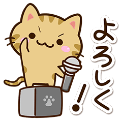 Small Kijitora cat4
