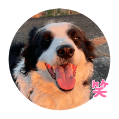 kero_20231225134620