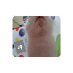 DoTDoT Dailyy