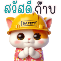 Safety cat