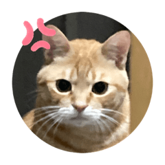 sumimo_20231225184304