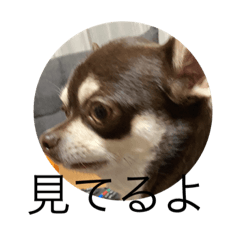 nao_20231225184829