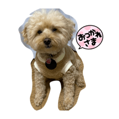 tomomi_20231225202259