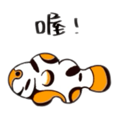 My clownfish