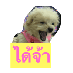Thung_mali