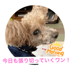 nao_20231225223313