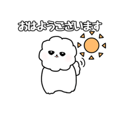 Tarin_20231225205327