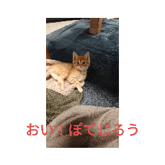 ryuki_20231225230347