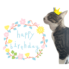 chisa_20231226002218