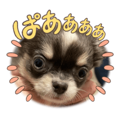 luno_20231226005440