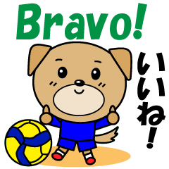 バレーボール犬　イタリア語と日本語