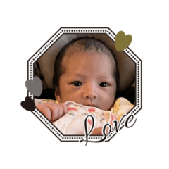 Sakura_20231226142950