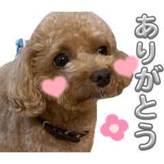 Omochi_20231226152021