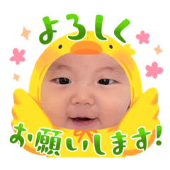 harupon_20231226153441