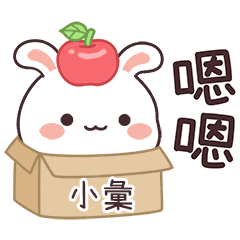 JOJO_Bunny1_01112_SIAO HUEI