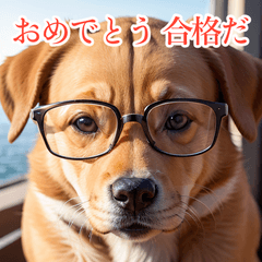賢いメガネ犬スタンプ