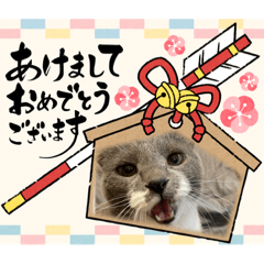 suzu_20231226221953