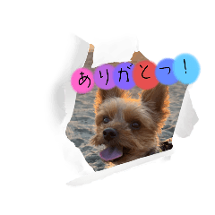 Sakura_20231226175537