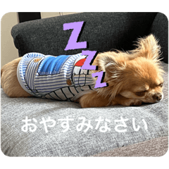 nini22_20231226210828