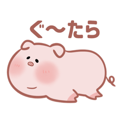 Pig tonmaru winter