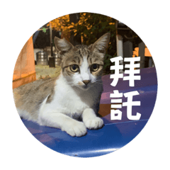 小波長大了
