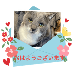 suzu_20231227001807