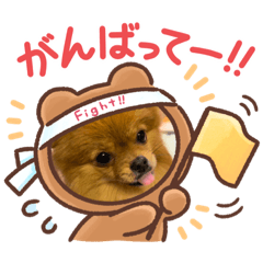 nao_20231227003224